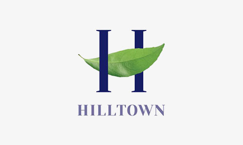 HILLTOWN AVM